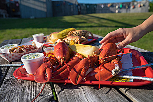 美味,传统,新英格兰,食物,大西洋,龙虾,野餐桌,缅因,美国