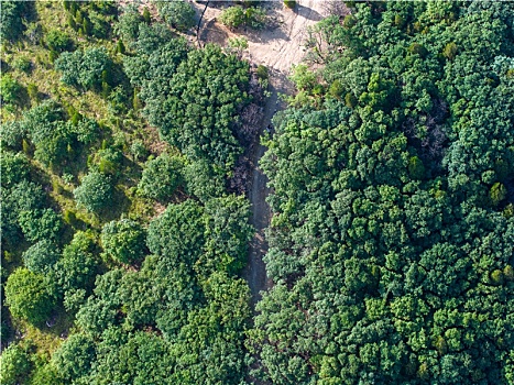 济南白云山越野山路