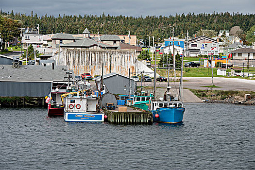 加拿大,新斯科舍省,露易斯堡,水岸,港口,风景,码头,渔船,大幅,尺寸