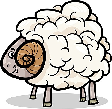 公羊,家畜,卡通,插画