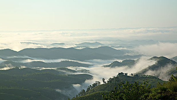 雾景