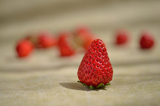 新鲜的有机草莓