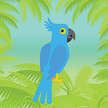 蓝色,金刚鹦鹉,设计,矢量,野生,稀有,亚马逊地区,鸟,异域风情,鹦鹉,坐,棕榈树,早午餐,热带,动物,物种,自然,概念,孩子,书本,材质,插画