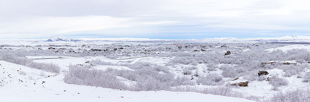 冬季风景,冰岛,全景
