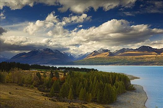 普卡基湖,南岛,新西兰