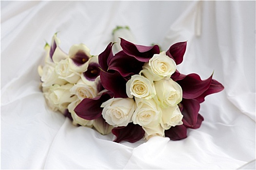 新娘手花,紫色,白色,彩色