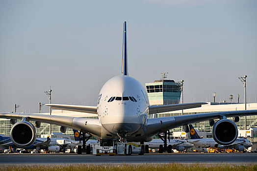 汉莎航空公司,空中客车,推,背影,卡车,拖,位置,正面,卫星,建筑,航站楼,傍晚,慕尼黑,机场,上巴伐利亚,巴伐利亚,德国,欧洲