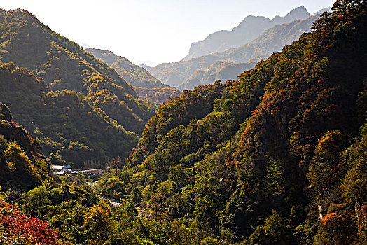 秦岭秋色