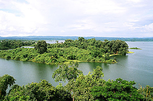 漂亮,湖,一个,男人,南,东方,孟加拉,地区,分开,结果,建筑,坝