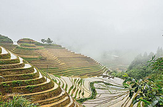 金坑梯田