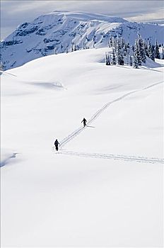 人,边远地区,滑雪,不列颠哥伦比亚省,加拿大