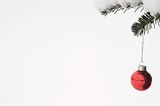 圣诞饰品,悬挂,积雪,枝条