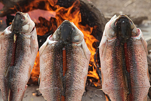 新疆尉犁,罗布人沙漠烤鱼