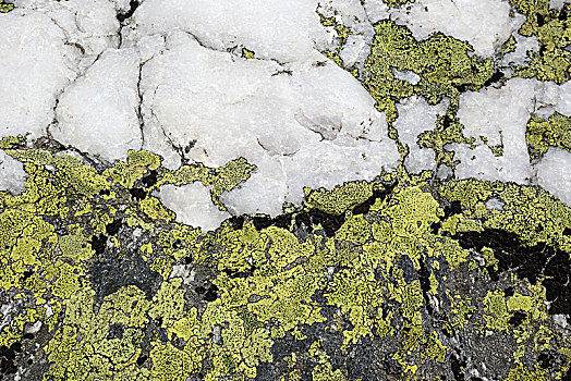 黄色,苔藓,石英,砂岩,提契诺河,阿尔卑斯山,瑞士,欧洲