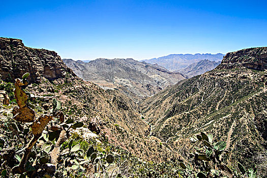 巨大,峡谷,靠近,厄立特里亚,非洲