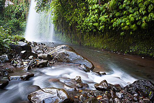 雨林,瀑布,冈加,乡村,龙目岛,印度尼西亚