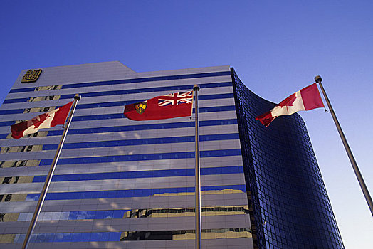 加拿大,安大略省,多伦多,市区,现代建筑,旗帜