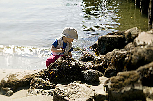 2岁,玩,海滩,西部,不列颠哥伦比亚省,加拿大