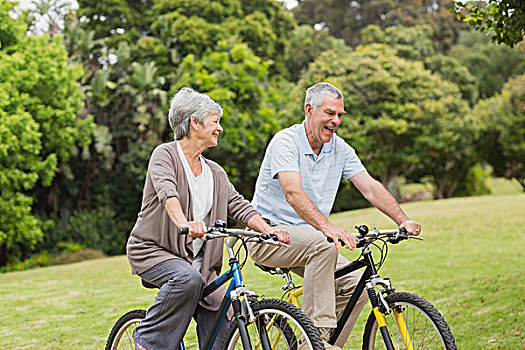 老年,夫妻,自行车,乘,乡村
