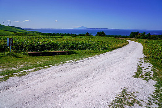 白色,道路