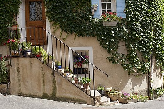 普罗旺斯,法国,常春藤,花,正面,家,法国南部