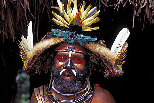 新几内亚,高地,靠近,部落,巫婆