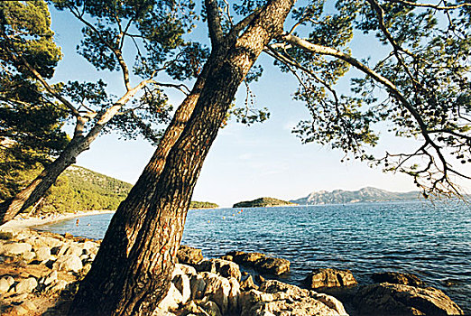 风景,海洋,远眺,岩石海岸