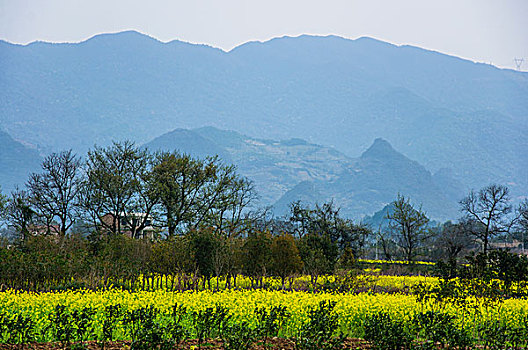 田园春色