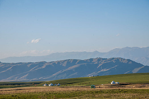 新疆伊犁新源县那拉提草原亚高山草甸的牛羊群