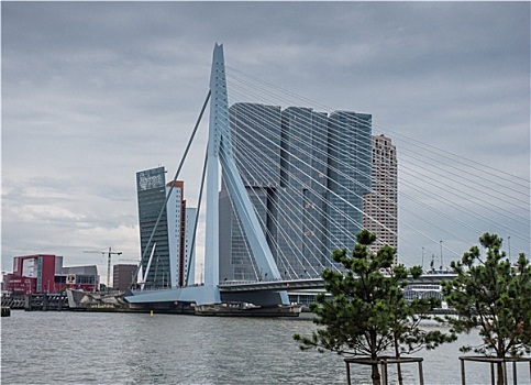 桥,鹿特丹,荷兰