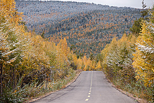 秋天的公路