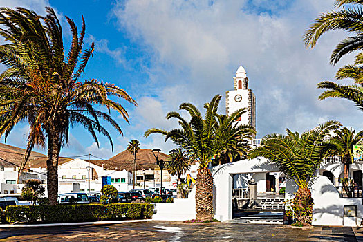 乡村,教堂,棕榈树,兰索罗特岛,加纳利群岛