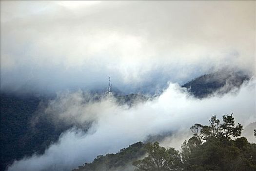 模糊,日出,上方,京那巴鲁山,国家公园,沙巴,婆罗洲