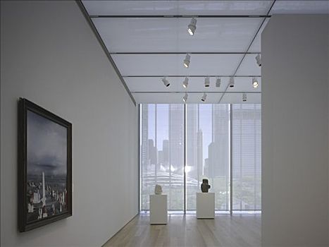 芝加哥艺术学院,现代,翼,画廊