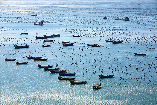 海湾,船,阳光,海岸,停泊,航行,港湾