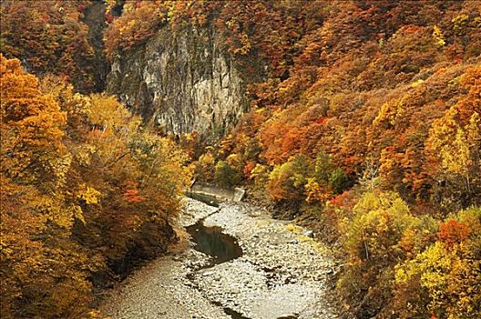 河,山脉,北海道,日本