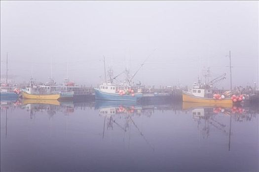 渔船,港口,岬角,新斯科舍省,加拿大