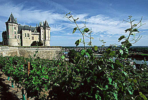 法国,卢瓦尔河地区,缅因与卢瓦省,索米尔,城堡