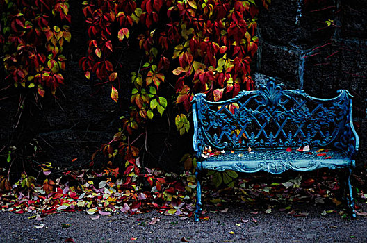 空,金属,长椅,石头,墙壁,彩色,秋天,叶子,赫尔辛基