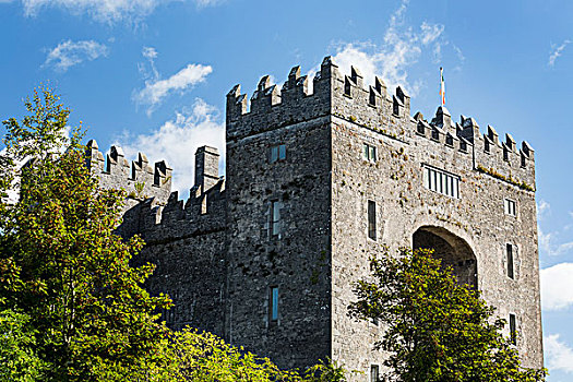 石头,城堡,树,蓝天,云,克雷尔县,爱尔兰