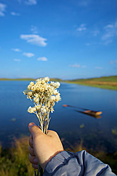 一束花