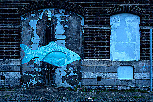 墙壁,涂鸦,鱼,都柏林,爱尔兰