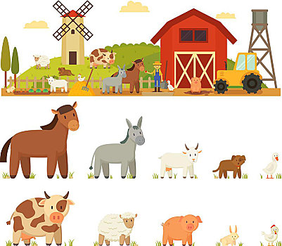 畜牧场,矢量,插画,白色背景,不同,哺乳动物,农民,旁侧,风车,乡村,位置,背景