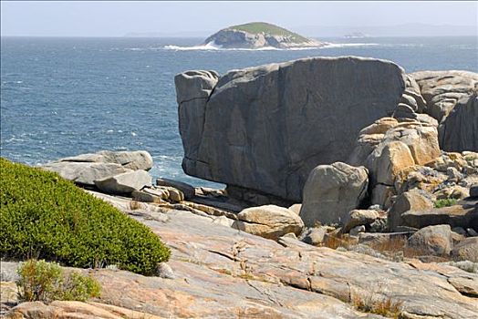 岩石构造,灌木,岛屿,靠近,奥尔巴尼,西澳大利亚,澳大利亚