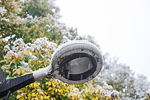 雪中,路灯