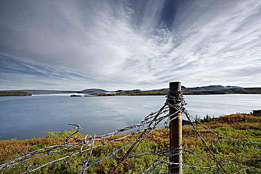 倒刺网,栅栏,湖,冰岛