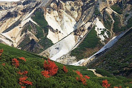 秋叶,山,水疗