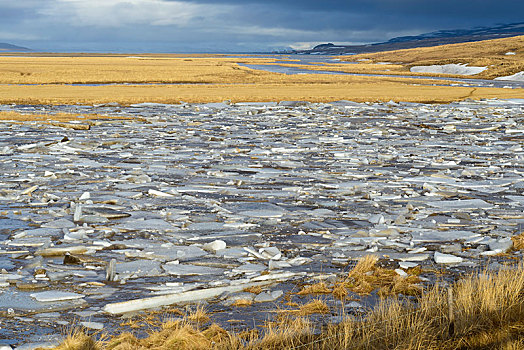 浮冰,河,区域,冰岛,欧洲