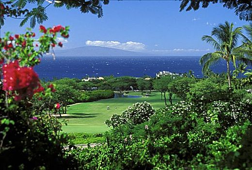 夏威夷,毛伊岛,高尔夫球场,俯视,风景,绿色植物,海洋,远景,背景