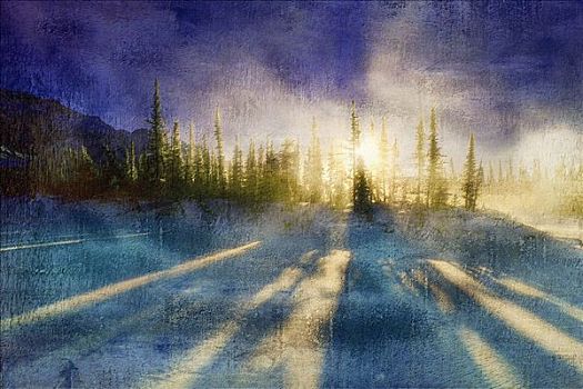 冬天,日出,树,碧玉国家公园,艾伯塔省,加拿大